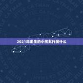 2021年出生的小孩五行属什么，2021年五行属什么