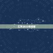 乙木2022年结婚，2022年有望得子八字