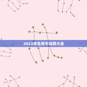 2022年生肖牛运势大全，2022 年属牛人全年运势如何