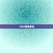 1987属兔命运，火命缺水男找老婆