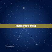 招财图片大全大图片，手机壁纸放什么图片最招财