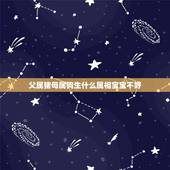 父属猪母属狗生什么属相宝宝不好，属猪和属狗的夫妻生什么属相的孩子好