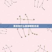 男羊和什么属相婚配合适，属羊的和什么属相最配