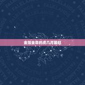 金箔金命的虎几月最旺，属虎的几月出生最好
