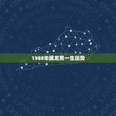1988年属龙男一生运势，1988年属龙男的婚姻与命运