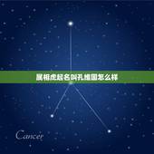 属相虎起名叫孔维国怎么样，属虎的起名不宜用什么字·宜用什么字？