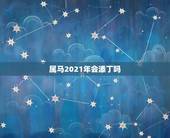 属马2021年会添丁吗，79年属羊人2021年全年运势