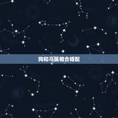 狗和马属相合婚配，属狗和属马的属相好吗？