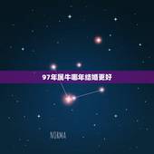 97年属牛哪年结婚更好，1997属牛的婚姻和命运