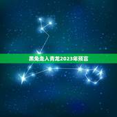 黑兔走入青龙2023年预言，2023考研