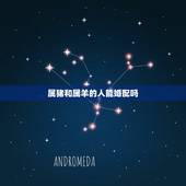 属猪和属羊的人能婚配吗，属相婚配：男属羊和女属猪相配吗