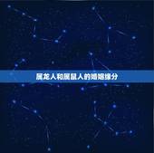 属龙人和属鼠人的婚姻缘分，属龙和属鼠能在一起吗