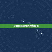 双子座男怎么追水瓶座女(成功攻略)