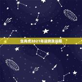生肖虎2021年运势及运程，62年属虎2021年运势及运程