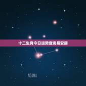 十二生肖今日运势查询易安居，今日运势查询新浪