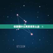 你属相什么用英语怎么说，“属相”用英语怎么说？