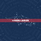 63年属免人当前运势，63年属兔今日财运方位在哪