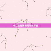 十二生肖属相是怎么算的，生肖怎么算？