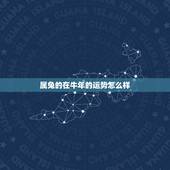 属兔的在牛年的运势怎么样，属兔和属牛的相配吗