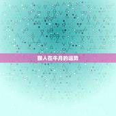 猴人在牛月的运势，属猴的人几月运气最好