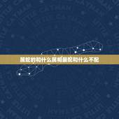 属蛇的和什么属相最配和什么不配，属马的和什么属相最相配 12属相婚配表