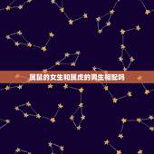 属鼠的女生和属虎的男生相配吗，属鼠男生和属虎女生婚姻配吗？