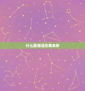 什么属相适合戴朱砂，什么属相不适合戴貔貅