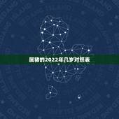 属猪的2022年几岁对照表，83年属猪39和40岁命运