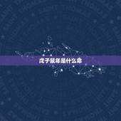 戊子鼠年是什么命，2008戊子鼠年是什么命