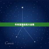 牛年宝宝起名大全集，2022 牛年男宝宝更佳取名