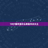 1997属牛是什么命金木水火土，属牛九七年金木水火土