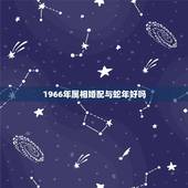 1966年属相婚配与蛇年好吗，66年的女属蛇的属相婚配表