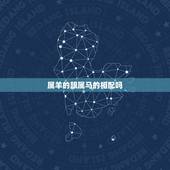 属羊的跟属马的相配吗，91年的羊和02年的马配吗