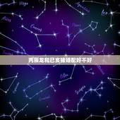 丙辰龙和已亥猪婚配好不好，属猪与属龙相配吗