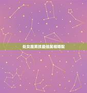 处女座男孩最佳属相婚配，1985年处女座男士宜选什么属相和星座婚配