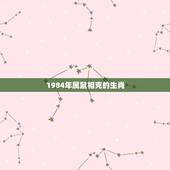 1984年属鼠相克的生肖，1984生肖鼠2022 年运势