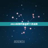 2022年双子座运势11月运势，双子座2015年11月6日运势财运