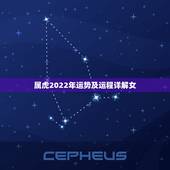 属虎2022年运势及运程详解女，属马2022 年运势及运程详解