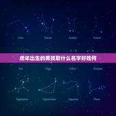 虎年出生的男孩取什么名字好姓何，属猪沉稳大气男孩名字
