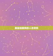 属鼠和属狗的人合财吗，属鼠和属狗的合不合