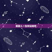 属鼠人一生财运如何，属鼠的人带什么有财运