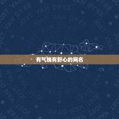 有气魄有野心的网名，形容有野心的网名2个字