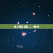 虎年狗的运势2022运势，属狗2022
