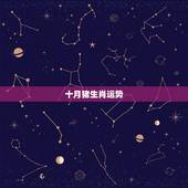 十月猪生肖运势，生肖龙十月运势