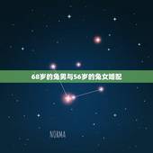 68岁的兔男与56岁的兔女婚配，属相婚配：男属兔和女属猪相配吗
