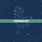属兔是哪年出生的，属兔是哪年生的？