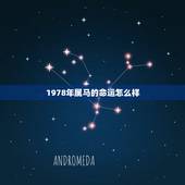 1978年属马的命运怎么样，78年属马人一生命运是怎么样的