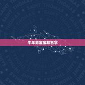 牛年男宝宝取名字，牛年男宝宝名字测分