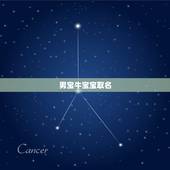 男宝牛宝宝取名，柳性牛宝宝取名