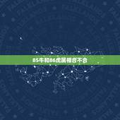 85牛和86虎属相合不合，86年男属虎85年女属牛配吗？